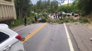 Tenente do Exército morre após árvore cair sobre carro na rodovia Oswaldo Cruz em Taubaté