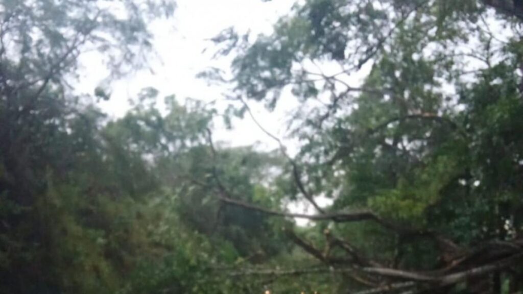 Inmet emite alerta de tempestade com ventos de até 60 km/h para o Vale e Litoral Norte Inmet emite alerta de tempestade com ventos de até 60 km/h para o Vale e Litoral Norte