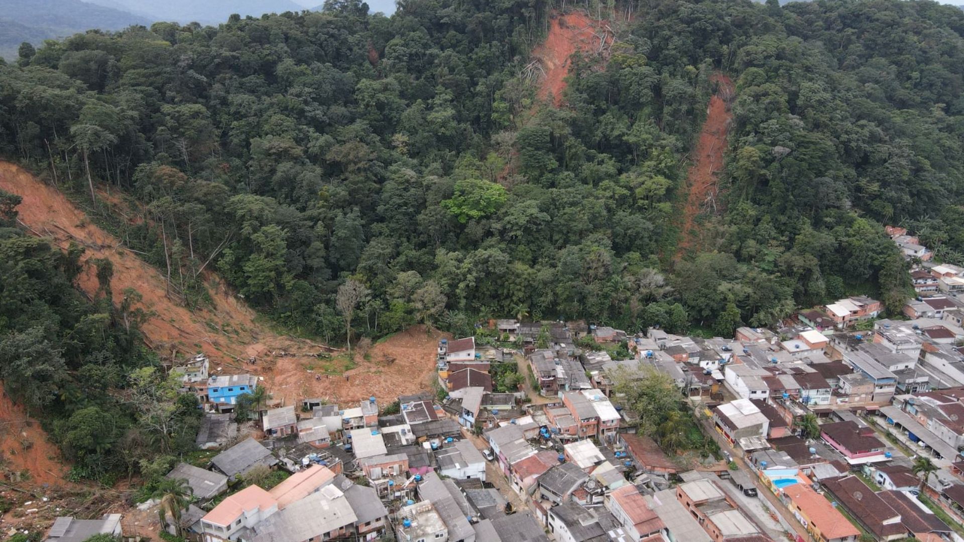Morro reflorestado em São Sebastião