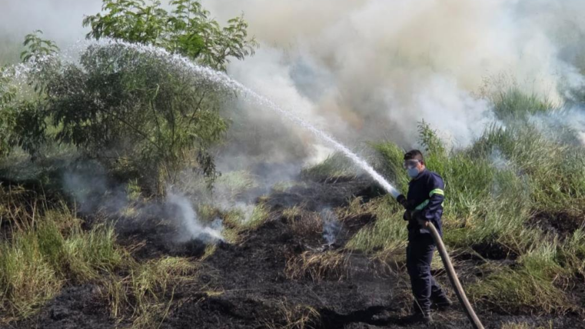 A Defesa Civil de Taubaté combateu uma queimada na avenida Carlos Pedroso da Silveira, na região de Quiririm