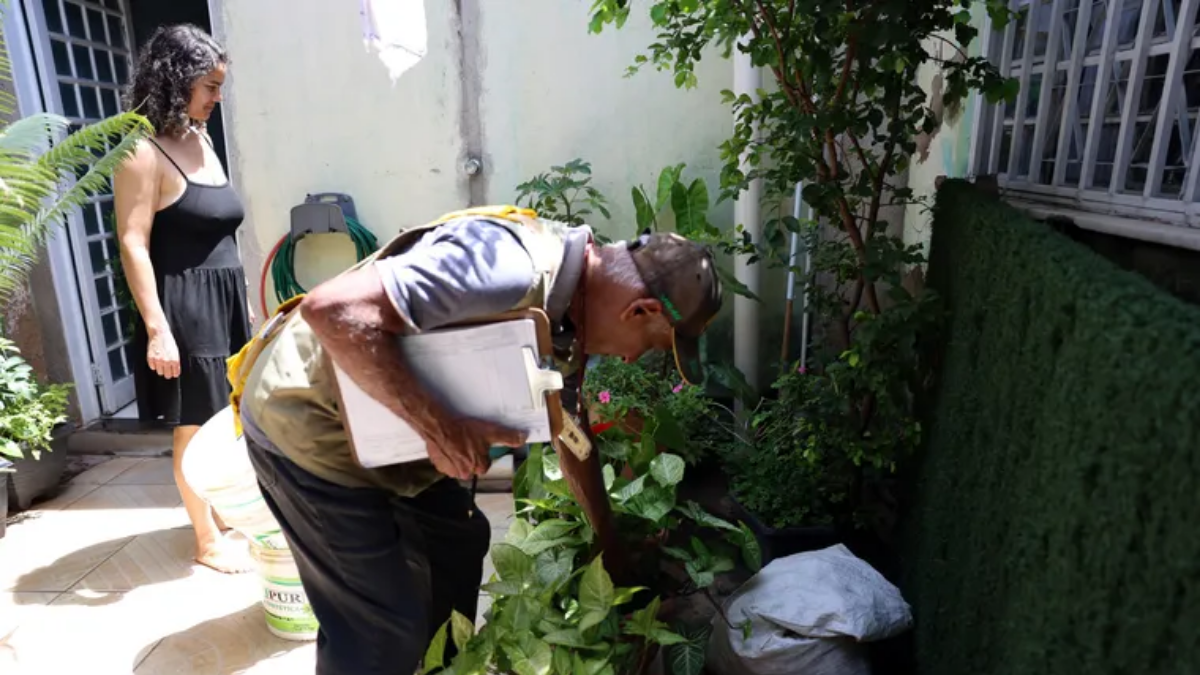 fiscalização de vasos de planta para precaução da dengue