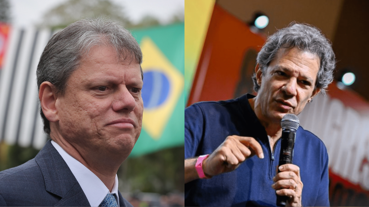 corrida eleitoral, haddad e tarcísio de freitas pelo governo de são paulo