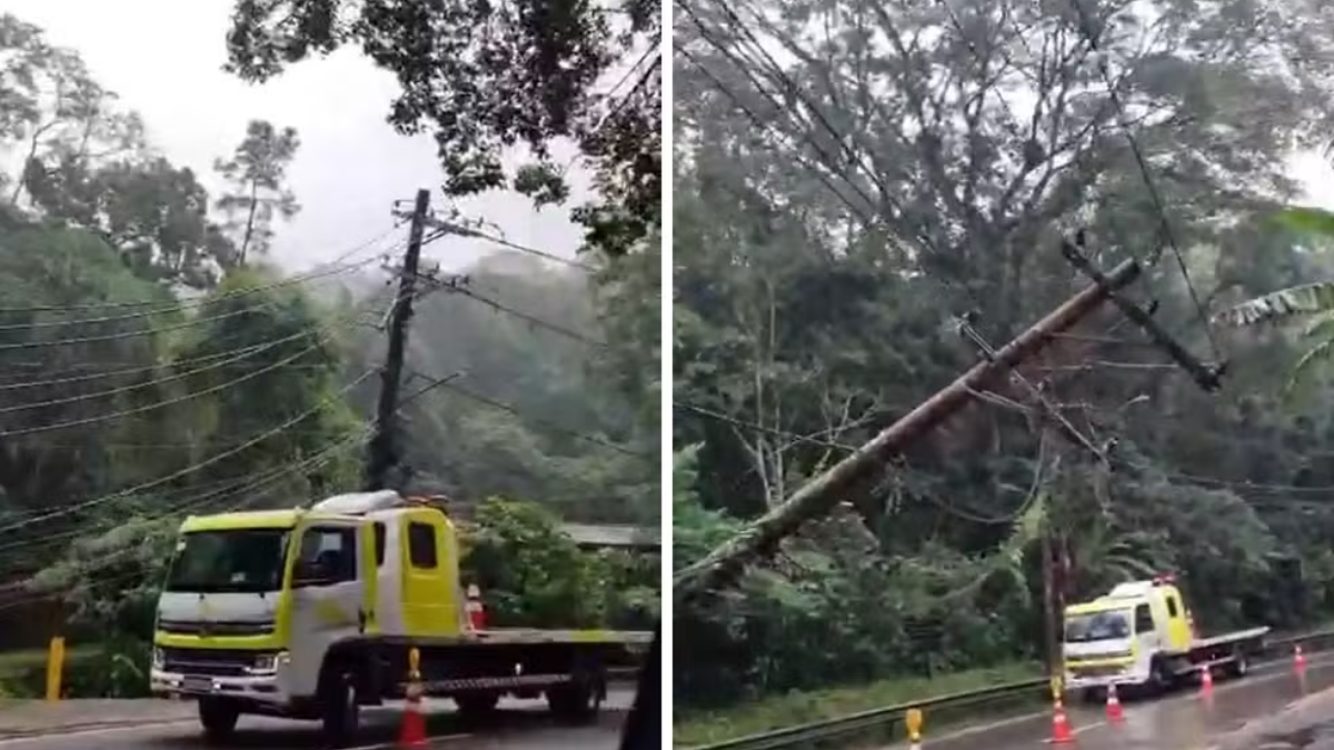 Queda de árvore e poste deixa tráfego em 'pare e siga' na Rio-Santos em São Sebastião arvore cai em são sebastião na rio-santos