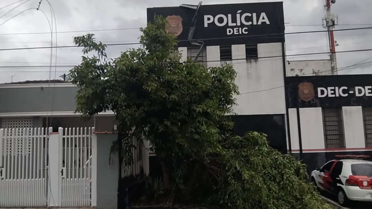 Chuva forte e ventos arrancam portão de galpão e provocam quedas de árvores em Taubaté chuva forte derruba arvore em taubaté