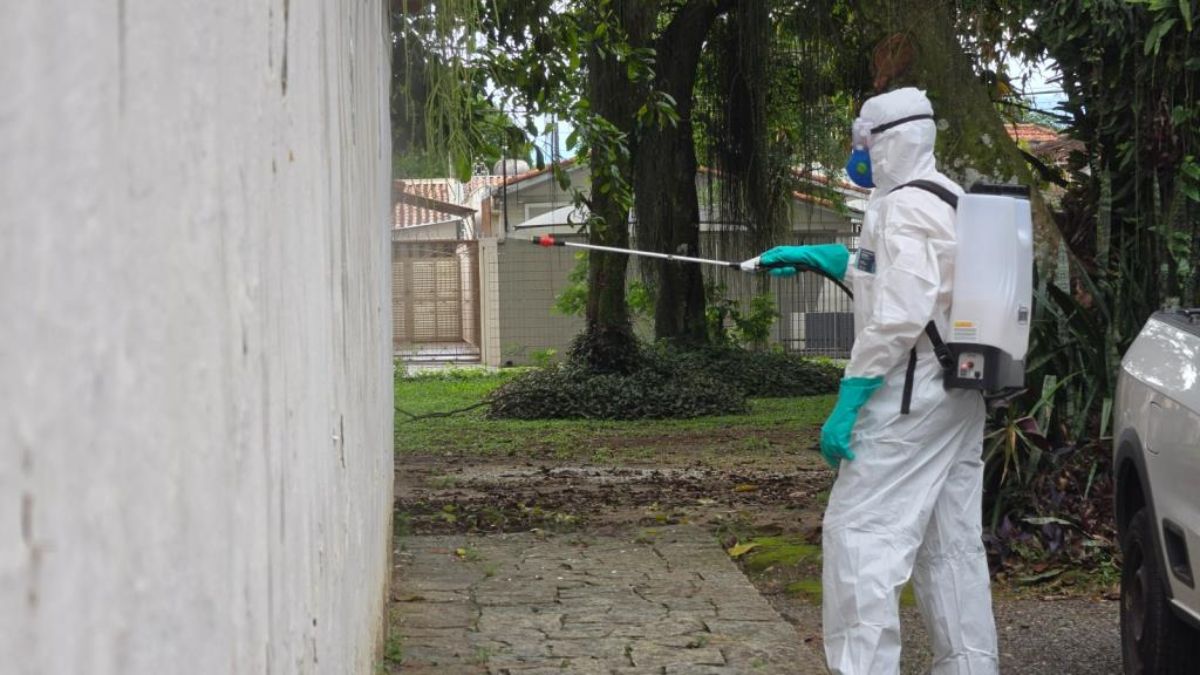 borrifação para controle da dengue taubaté