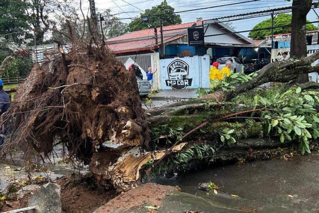 Temporal com granizo causa alagamentos, paralisa a Dutra e provoca transtornos em São José queda de árvore na zona sul de sjc